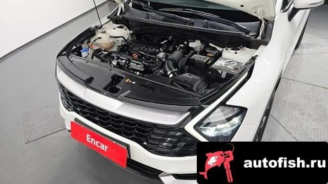 Kia Sportage Sportage 5th Generation 2022 года - вид 6