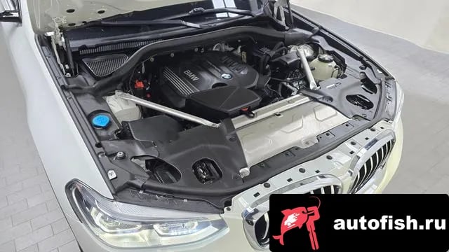 BMW X4 X4 (G02) 2019 года - вид 6