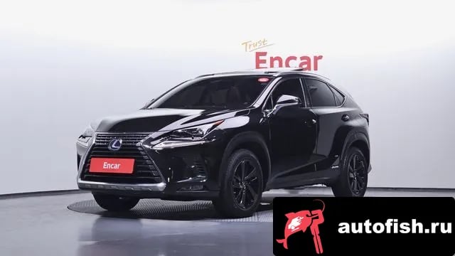 Lexus NX NX300h 2018 года - автомобиль из Южной Кореи