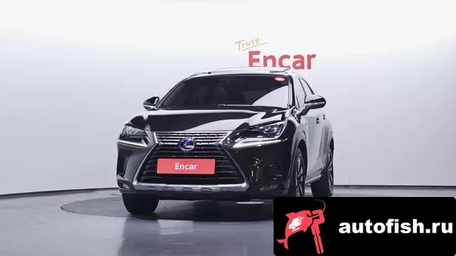 Lexus NX NX300h 2018 года - вид 3