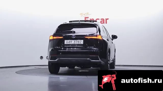 Lexus NX NX300h 2018 года - вид 4