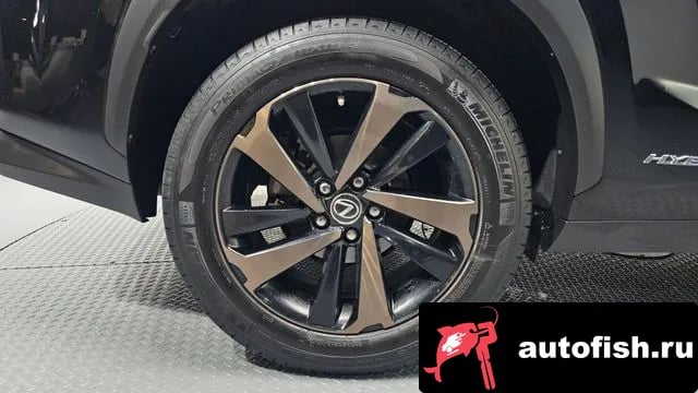 Lexus NX NX300h 2018 года - вид 5