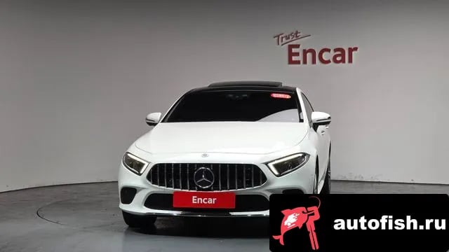 Mercedes-Benz CLS-Class CLS-Class C257 2019 года - вид 2