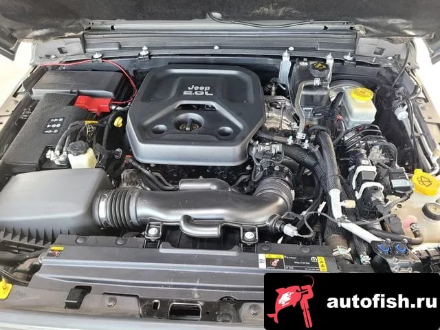 Jeep Wrangler Wrangler (JL) 2023 года - вид 6