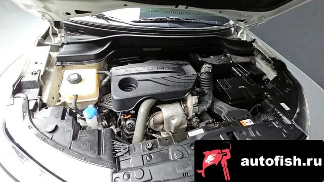 KG Mobility (Ssangyong) TIBOLI Berry New Tivoli 2019 года - вид 6