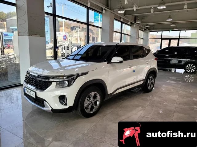 Kia Seltos The New Celtos 2024 года - похожие автомобили