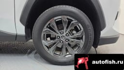 Миниатюра 5