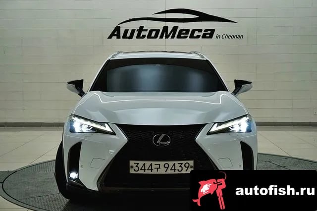 Lexus UX UX250h 2021 года - вид 1