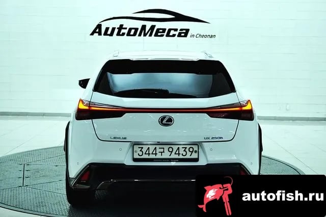 Lexus UX UX250h 2021 года - вид 6