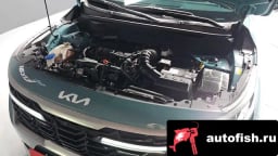 Миниатюра 6