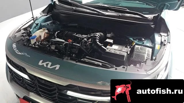 Kia Seltos The New Celtos 2024 года - вид 6