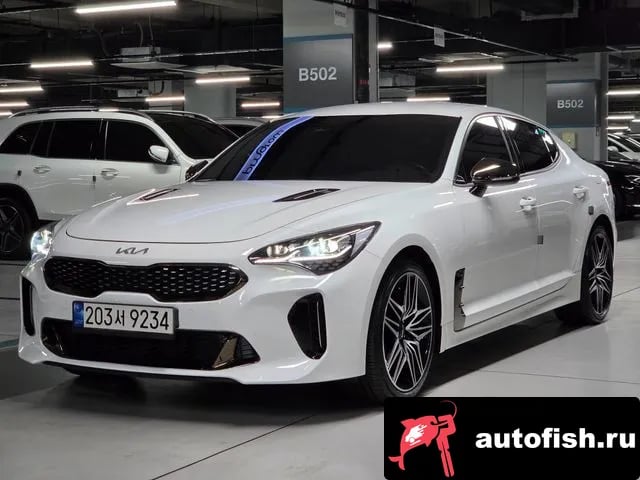 Kia Stinger Stinger Meister 2022 года - вид 1
