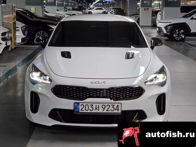 Kia Stinger Stinger Meister 2022 года - вид 4
