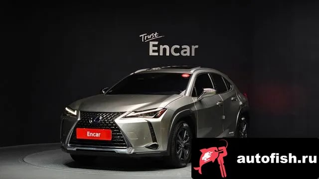 Lexus UX UX250h 2021 года - вид 1