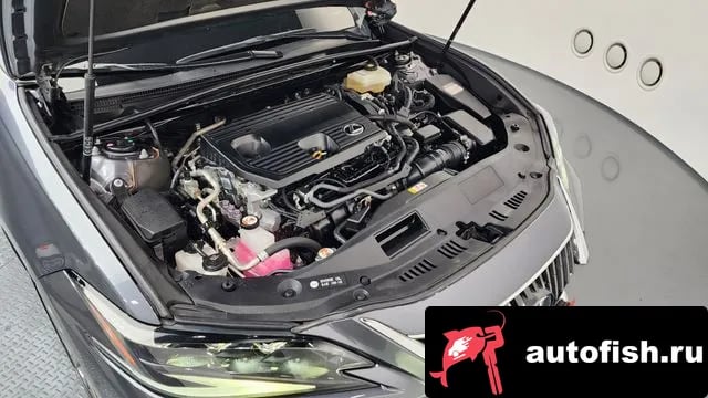 Lexus ES ES300h 7th generation 2022 года - вид 6