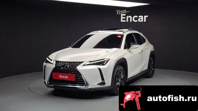 Lexus UX UX250h 2023 года - вид 1