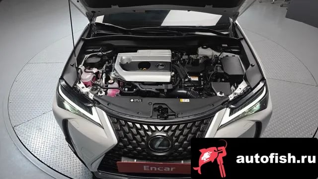 Lexus UX UX250h 2023 года - вид 6