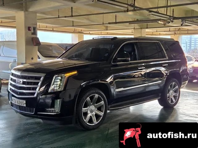 Renault Korea (Samsung) Master Master 2024 года - автомобиль из Южной Кореи