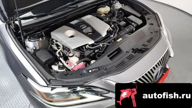 Lexus ES ES300h 7th generation 2019 года - вид 6