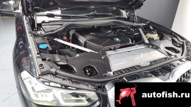 BMW X4 X4 (G02) 2022 года - похожие автомобили