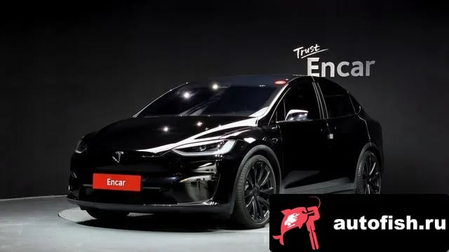 Tesla Model X Model X 2023 года - автомобиль из Южной Кореи