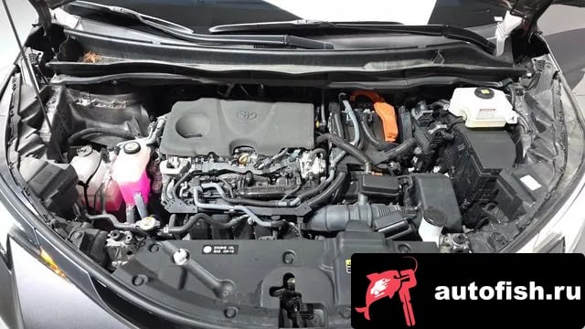 Toyota Sienna Siena 4th Generation 2023 года - вид 5