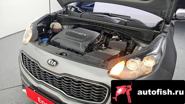 Kia Sportage Sportage 4th Generation 2018 года - вид 6