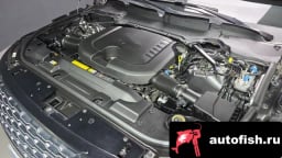 Миниатюра 6