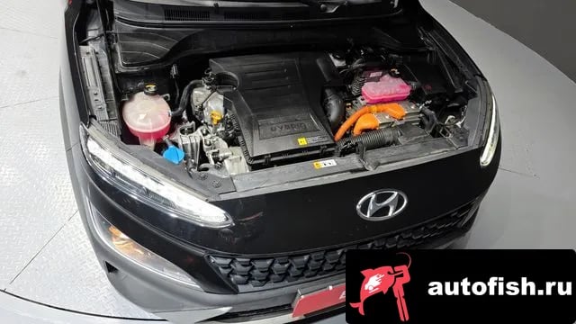 Hyundai Kona The New Kona Hybrid 2021 года - вид 6