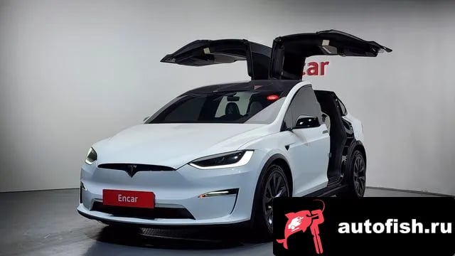 Tesla Model X Model X 2023 года - автомобиль из Южной Кореи