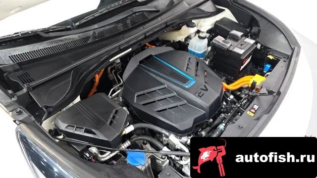 Kia Niro Niro EV 2021 года - вид 6