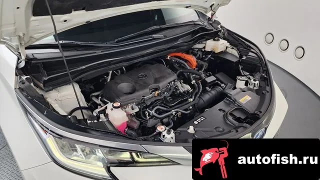 Toyota Sienna Siena 4th Generation 2021 года - вид 6