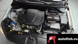 Миниатюра 6