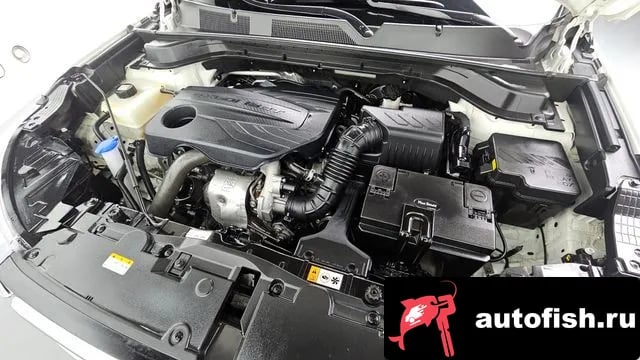 KG Mobility (Ssangyong) KORANDO Beautiful Korando 2020 года - вид 6