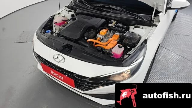 Hyundai AVANTE Avante Hybrid (CN7) 2023 года - вид 6