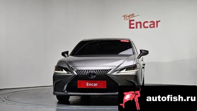 Lexus ES ES300h 7th generation 2021 года - похожие автомобили
