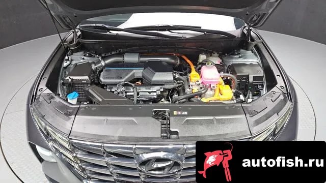 Hyundai Tucson Tucson Hybrid (NX4) 2022 года - вид 6