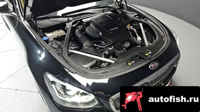 Kia K9 More K9 2021 года - вид 6