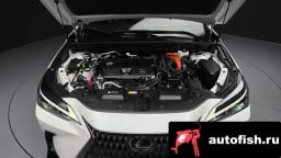 Миниатюра 6