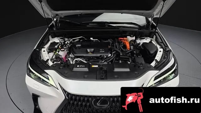 Lexus NX NX450h + 2nd generation 2024 года - вид 6