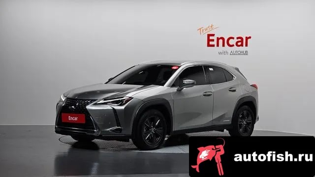 Lexus UX UX250h 2020 года - вид 1