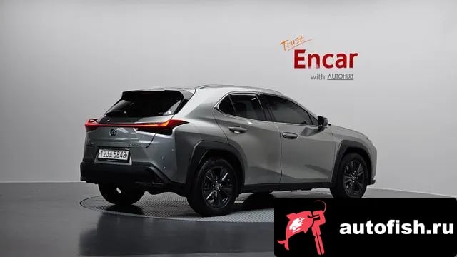 Lexus UX UX250h 2020 года - вид 2