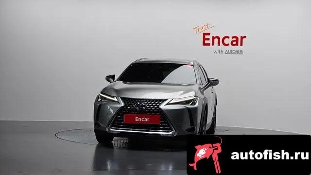 Lexus UX UX250h 2020 года - вид 3