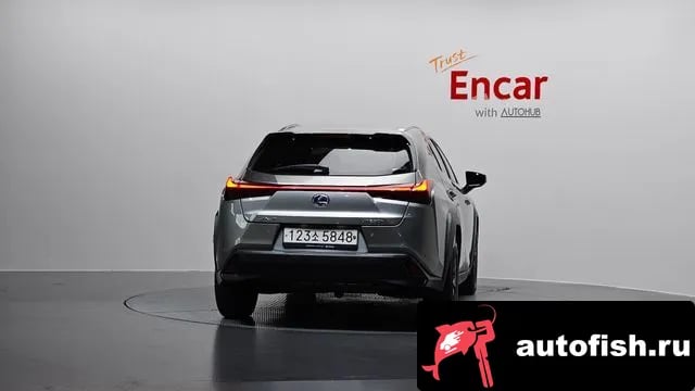 Lexus UX UX250h 2020 года - вид 4