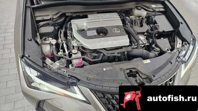 Lexus UX UX250h 2020 года - вид 6