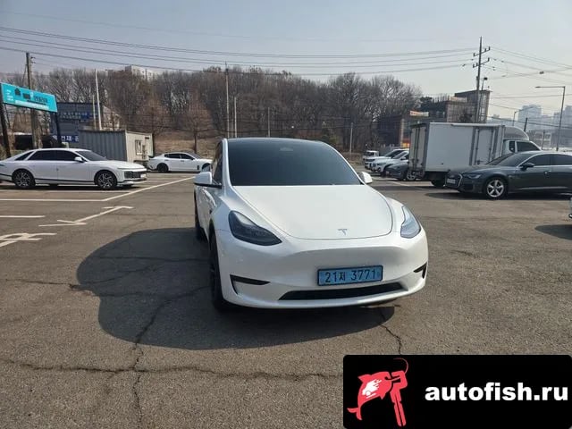 Tesla Model Y Model Y 2024 года - вид 1