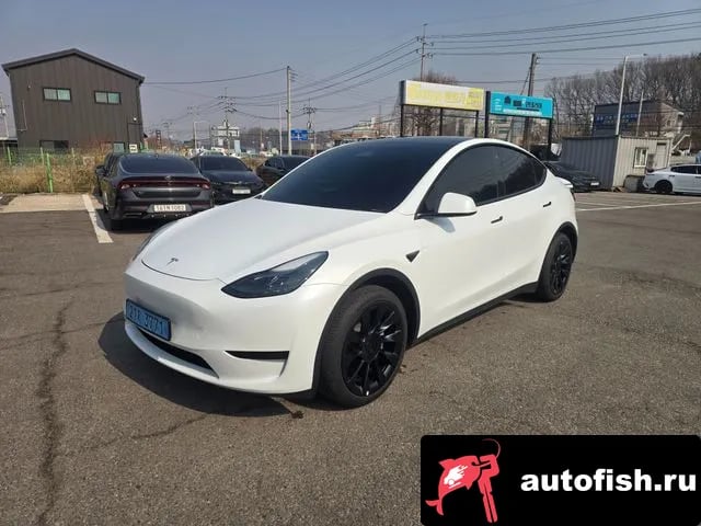 Tesla Model Y Model Y 2024 года - вид 3