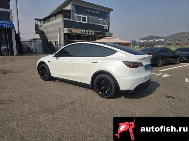 Tesla Model Y Model Y 2024 года - вид 4