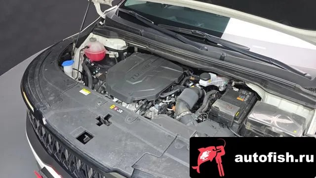Kia Carnival The New Carnival 4th Generation 2024 года - вид 6