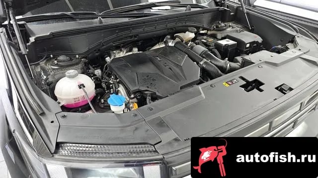 Hyundai Santafe San Tafe (MX5) 2025 года - вид 6